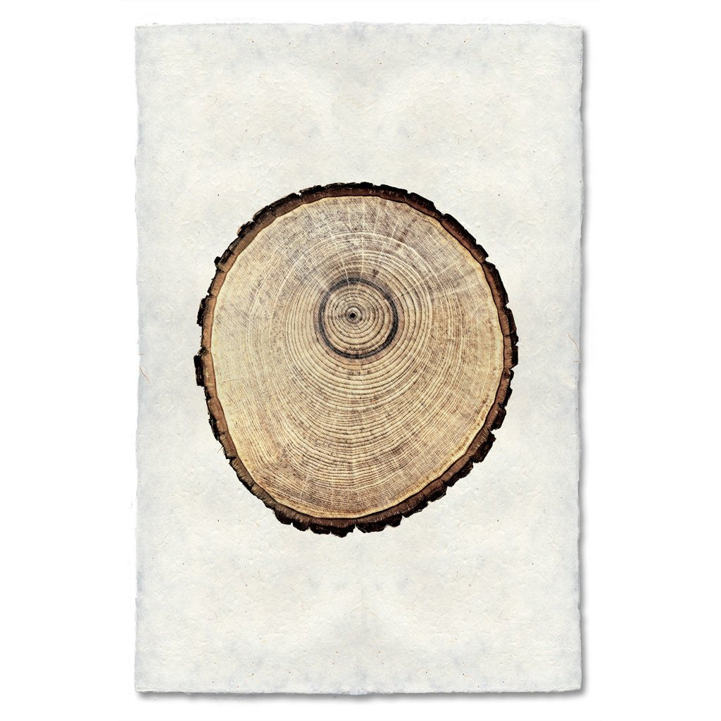 Oak Tree #2 Ring Print
