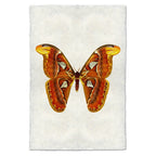 Butterfly Papilionoidea Study Print #2