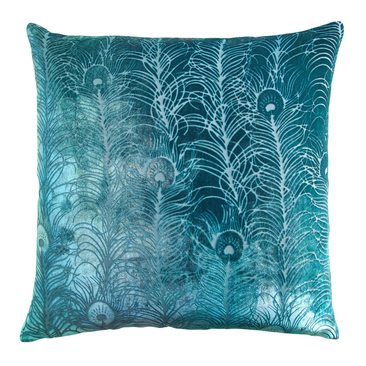 Peacock Feather Velvet Pillow By Kevin O'Brien Studio