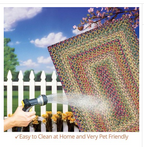 Rain Forest Outdoor Braided Rug