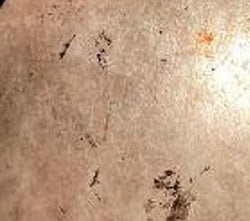 Silver Mica