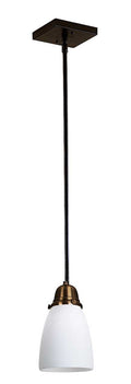 Simplicity One Light Stem Hung Pendant with Art Glass Shade SSH-1