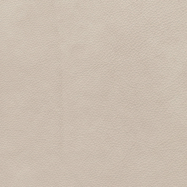 A close-up texture shot of a light beige pebbled leather or faux leather material.