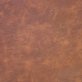 Stirrup (L061) Purely Protected Leather