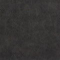 Struzzo (L068) Crypton Protected  Leather