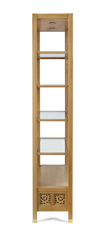 Tall wooden bookshelf with multiple shelves on a white background