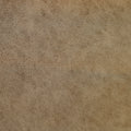 Torque Tan (L066) Purely Protected Leather