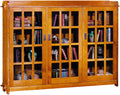 Wooden bookshelf with glass doors displaying books and decorative items.