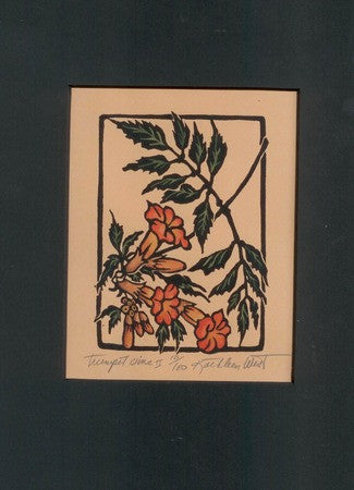 Trumpet Vine II Print