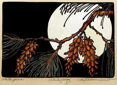 White Pine Print