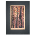 Woodland Sunset Print