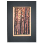 Woodland Sunset Print