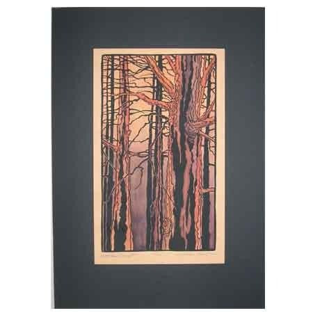 Woodland Sunset Print
