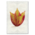 American Cranberry Leaf Study Print