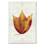 American Cranberry Leaf Study Print