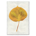 Aspen Leaf Study Print