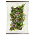 Grand Format Collective Succulent with wood Hanger