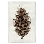 Douglas Fir Pine Print