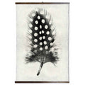 Grand Format Feather Study Print #1 with wood Hanger