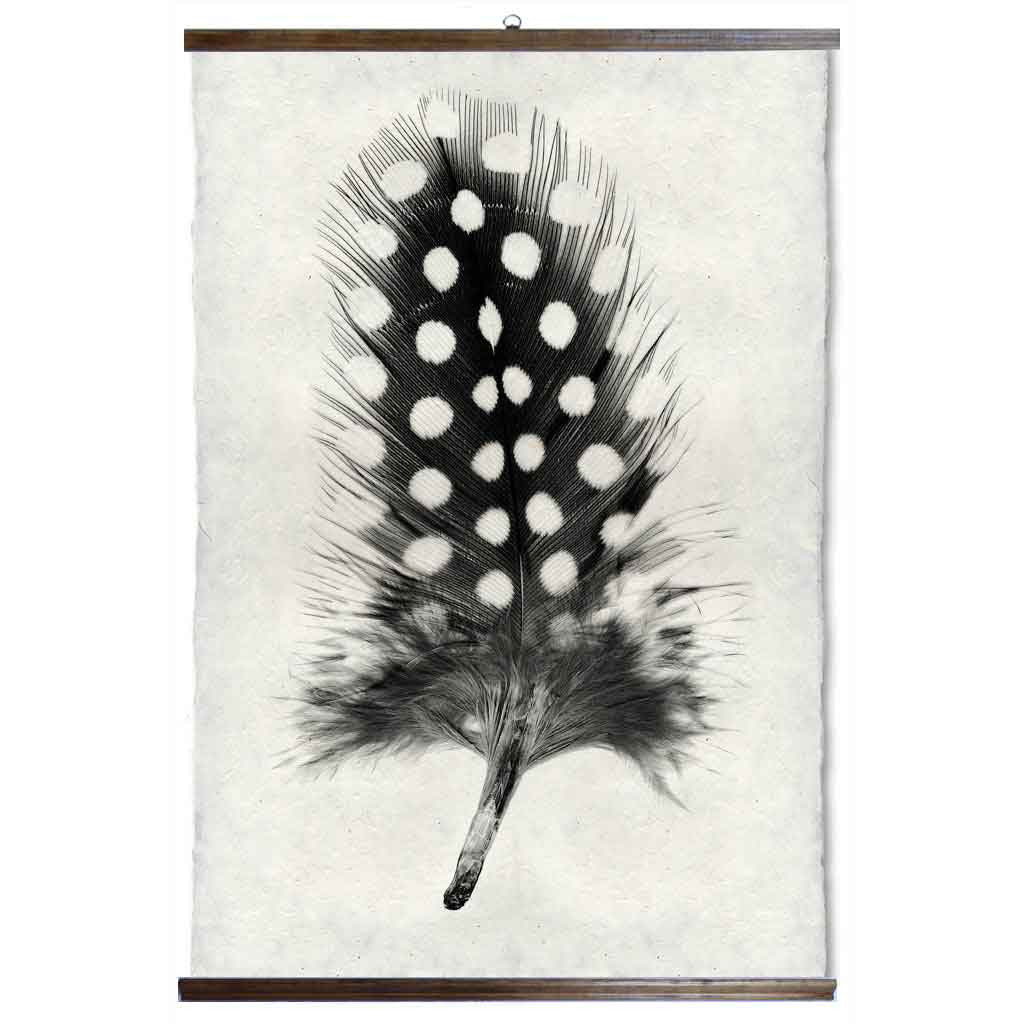 Grand Format Feather Study Print #1 with wood Hanger