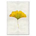 Ginkgo Leaf Study Print