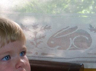 Dedham Lace Curtain Panel