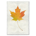 Maple Leaf Study Print