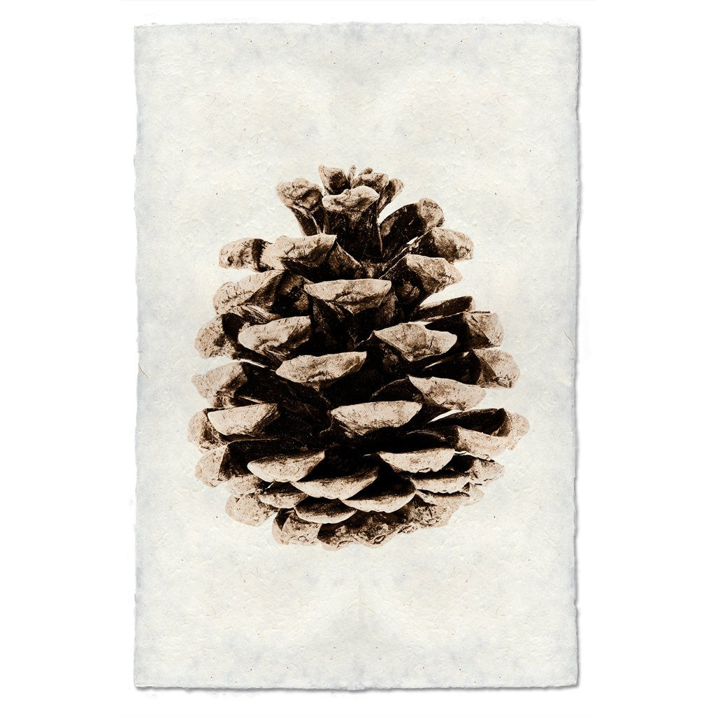 Red Leaf Pine Print
