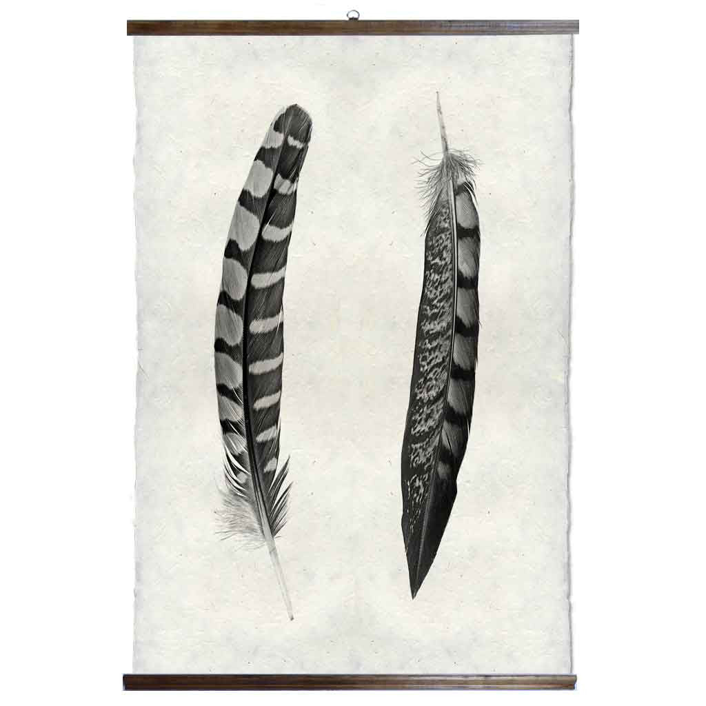 Grand Format Two Curved Feather Print with wood Hanger