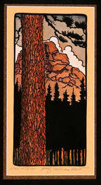 View at Tahoe Print