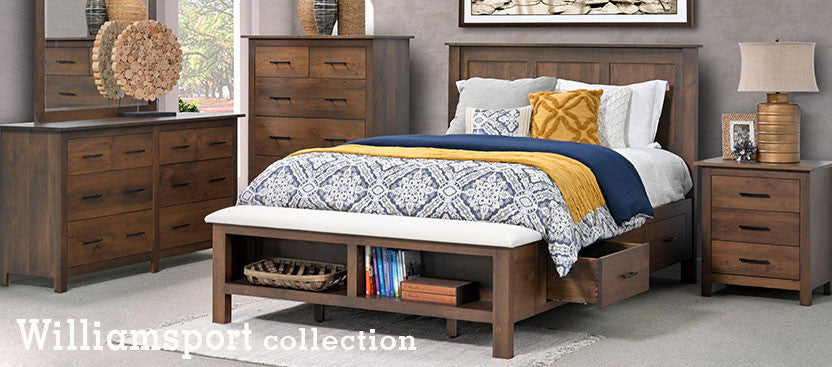 Williamsport Bookcase Bed w/ Drawers